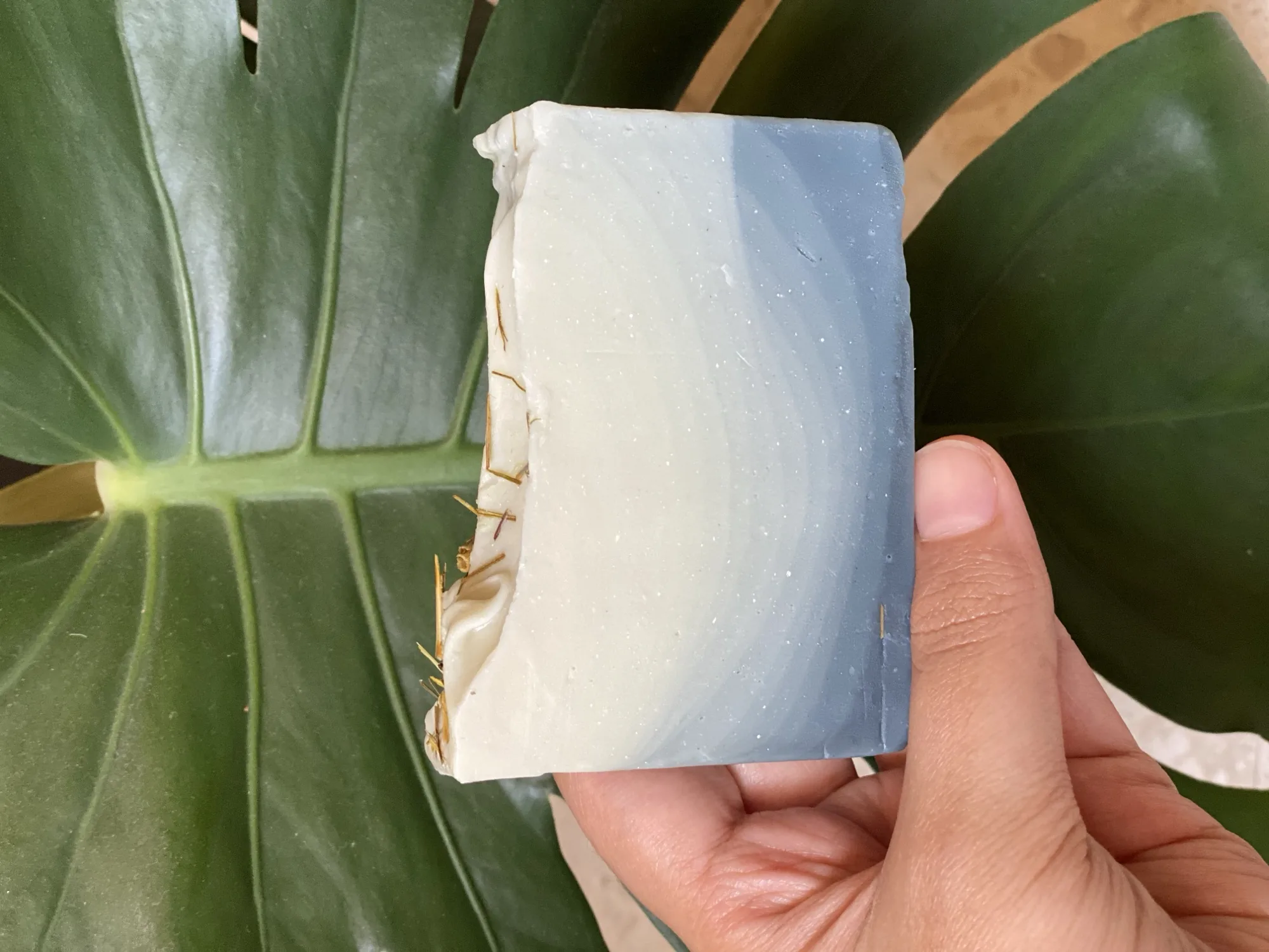 A hand holding a bar of blue-and-white cold-process soap against a leaf